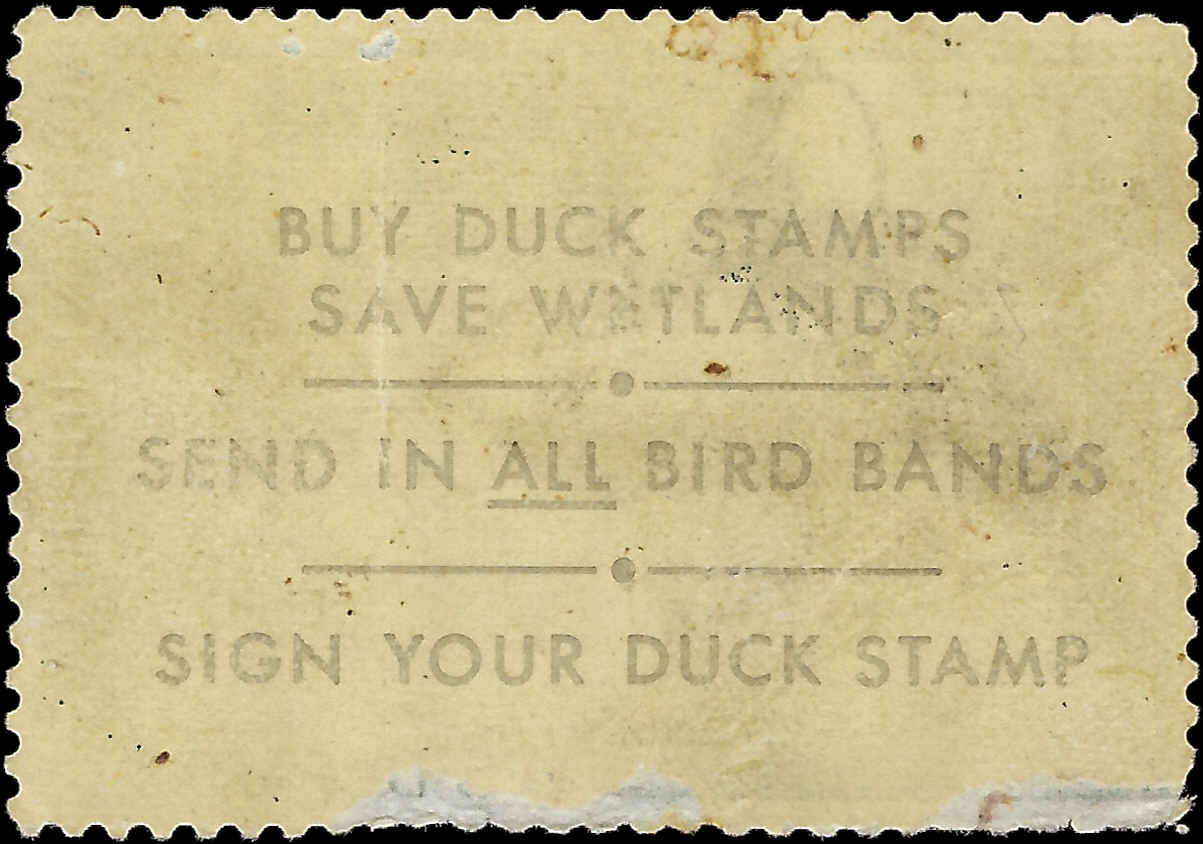 VEGAS - 1968 - ScottRW35 Federal Duck Stamp, MNH -Light Gum Disturbance - Read
