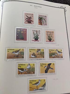 VEGAS Well Filled British Africa Scott Album Collection - Bette Cat! ~120 Photos