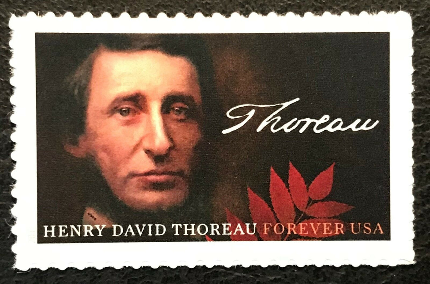 2017 Henry David Thoreau Plate Single Forever Postage Stamp - MNH, OG - Scott 5202
