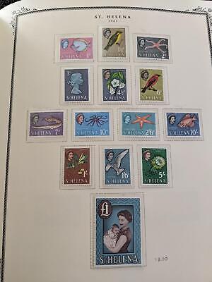 VEGAS Well Filled British Africa Scott Album Collection - Bette Cat! ~120 Photos
