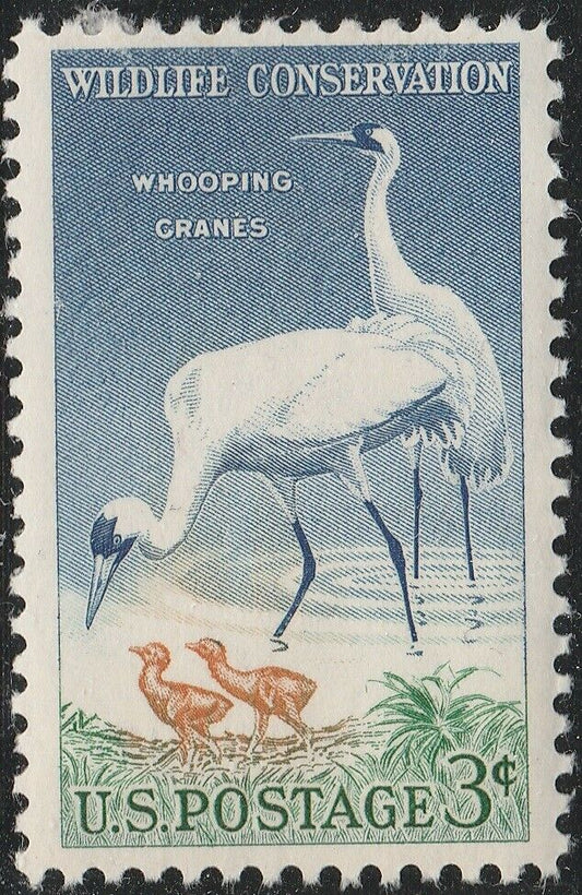 1957 Whooping Cranes Single 3c Postage Stamp Scott # 1098 - MNH, OG - BC10b