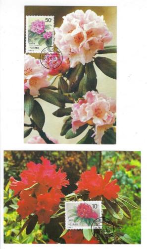 8 1991 PR China First Day Postcards Sc #2330-7 - Rhododendrons Set (R94)